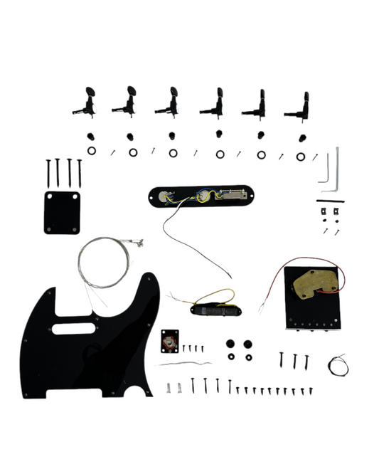 HSTL19100PPBK Black Electric Guitar Hardware Accessories Parts