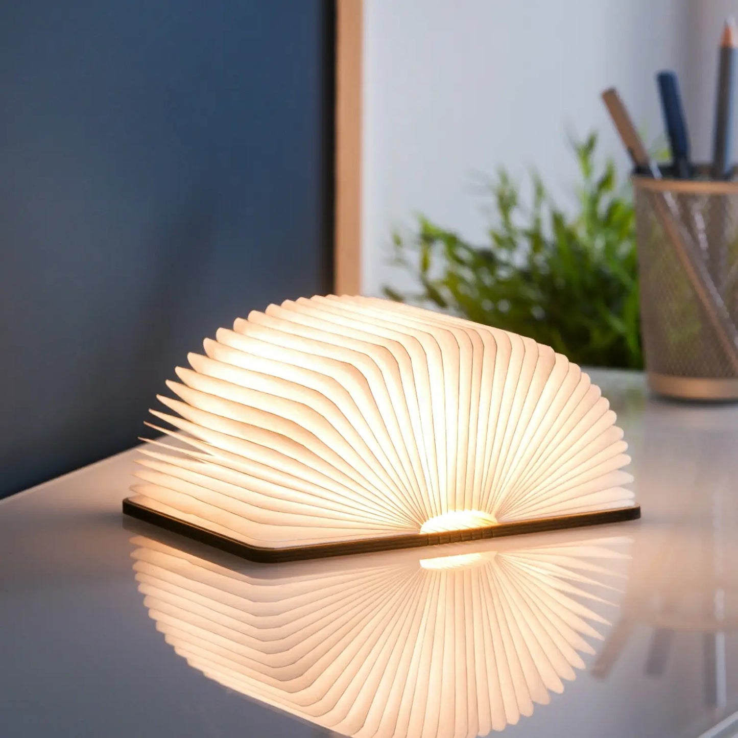 Natural Wood Smart Light Book