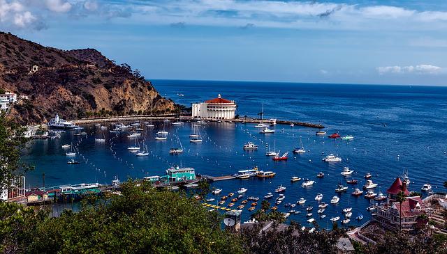SUP place in Catalina Island California