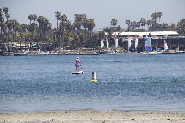 SUP place in Mission Bay California