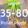 Pollen Points