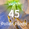 Pollen Points