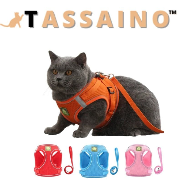 TASSAINO™