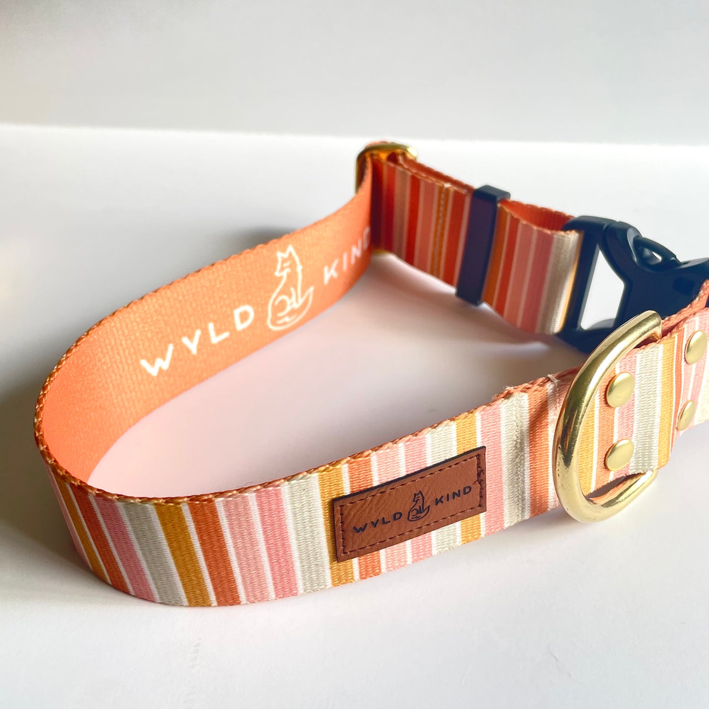 Ice Cream - webbing dog collar