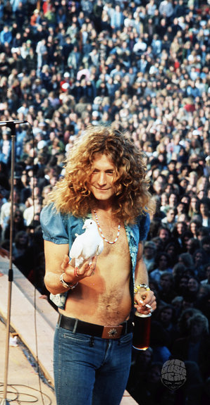 Robert Plant, Dove, 1973 by James Fortune – Musichead Gallery