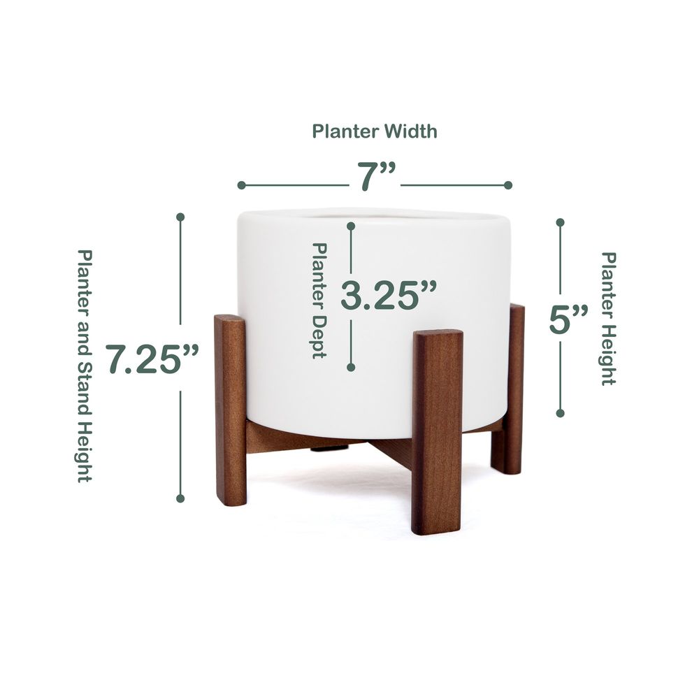BELUGA Supply | 7" Sonder Planter Pot - Galaxy Black