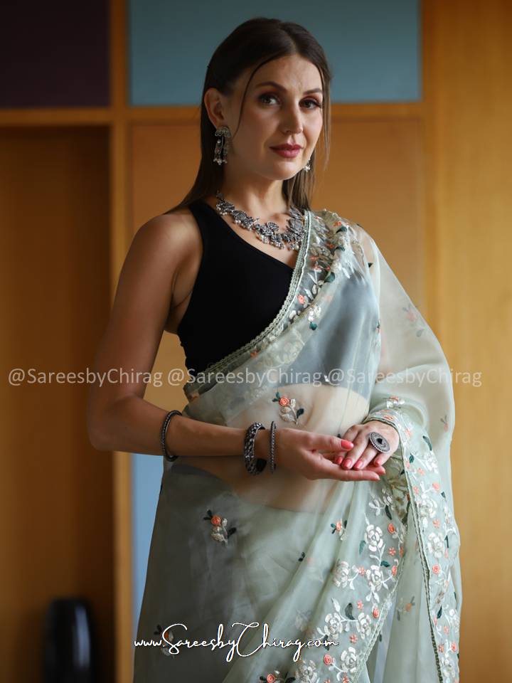Organza Embroidered Saree | Avantika