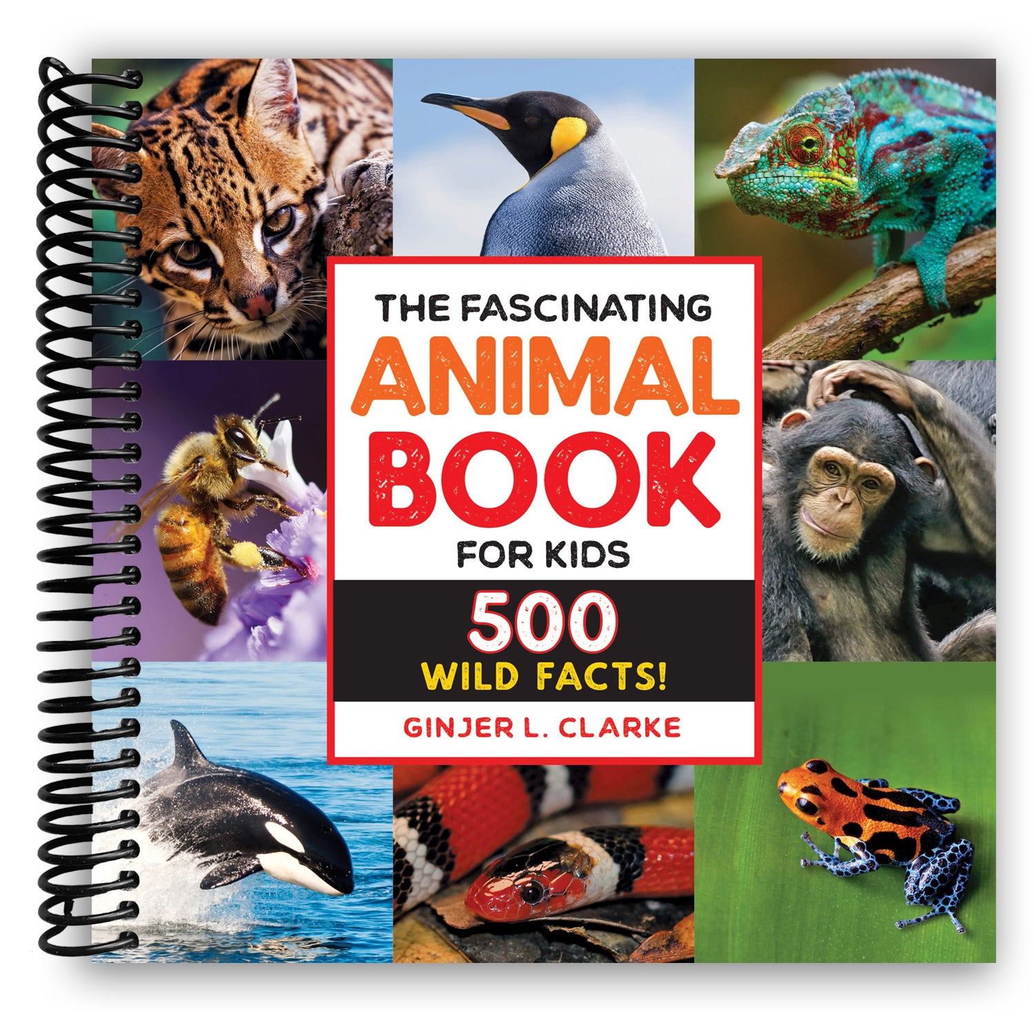 The Fascinating Animal Book for Kids: 500 Wild Facts! (Spiral Bound) – Lay  it Flat Publishing Group