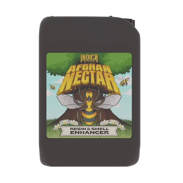 Indica Afghan Nectar - GreenFX