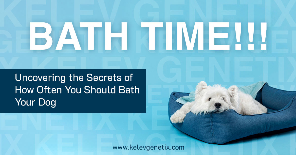 how many times should you bathe your puppy