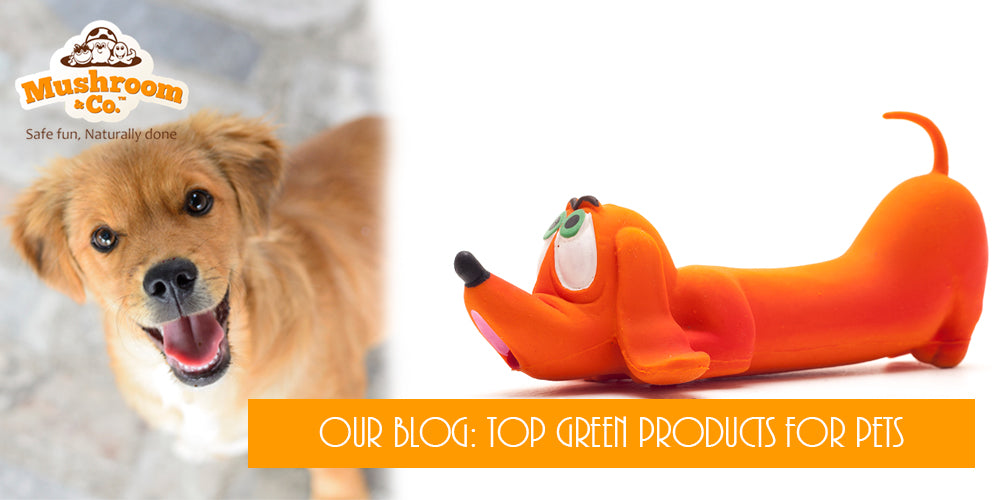 Organic Pet Toys | Green Toys for Pets | Organic Dog Chew Toys