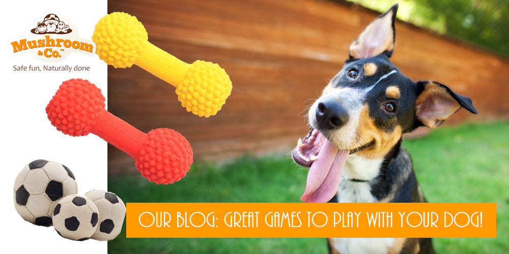 Games to play with your dog | Organic Pet Toys | Organic Dog Toys | Organic Dog Chews