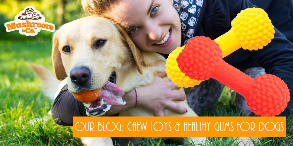 Organic Pet Toys | Organic Dog Chews | Natural Rubber Pet Toys | Natural Rubber Pet Chews