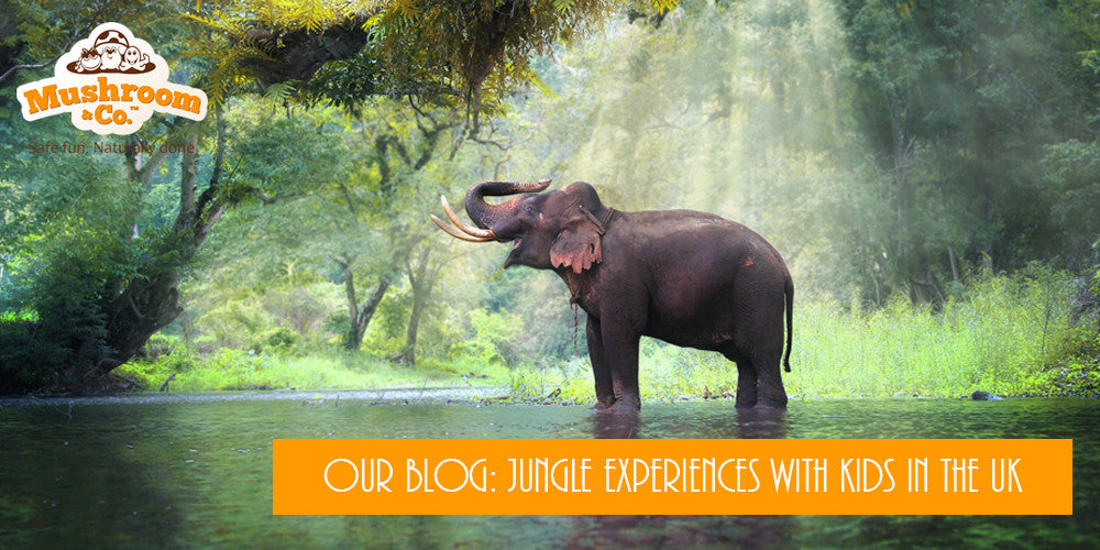 Jungle Experiences with Kids in the UK | Organic Toys | Jungle Toys