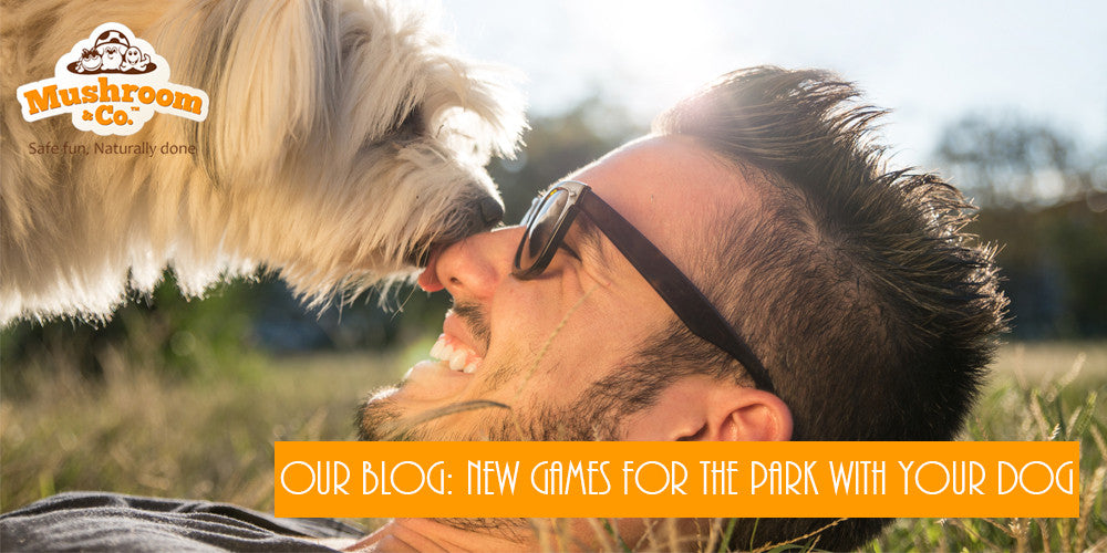 Organic Pet Toys | New Games for the Park with your Dog | Green Dog Toys