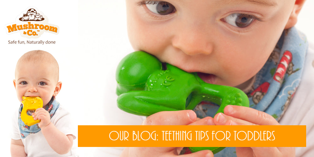 Teething Tips for Toddlers