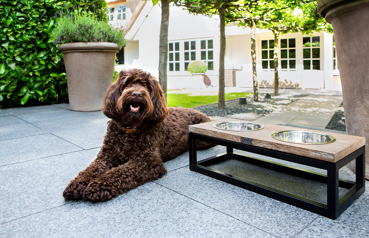 luxury dog feeders