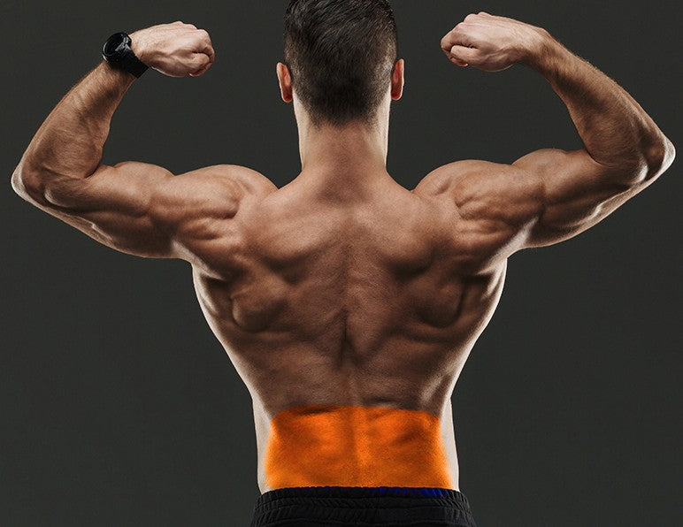Welke onderrug oefeningen versterken je onderrugspieren? – The Elite