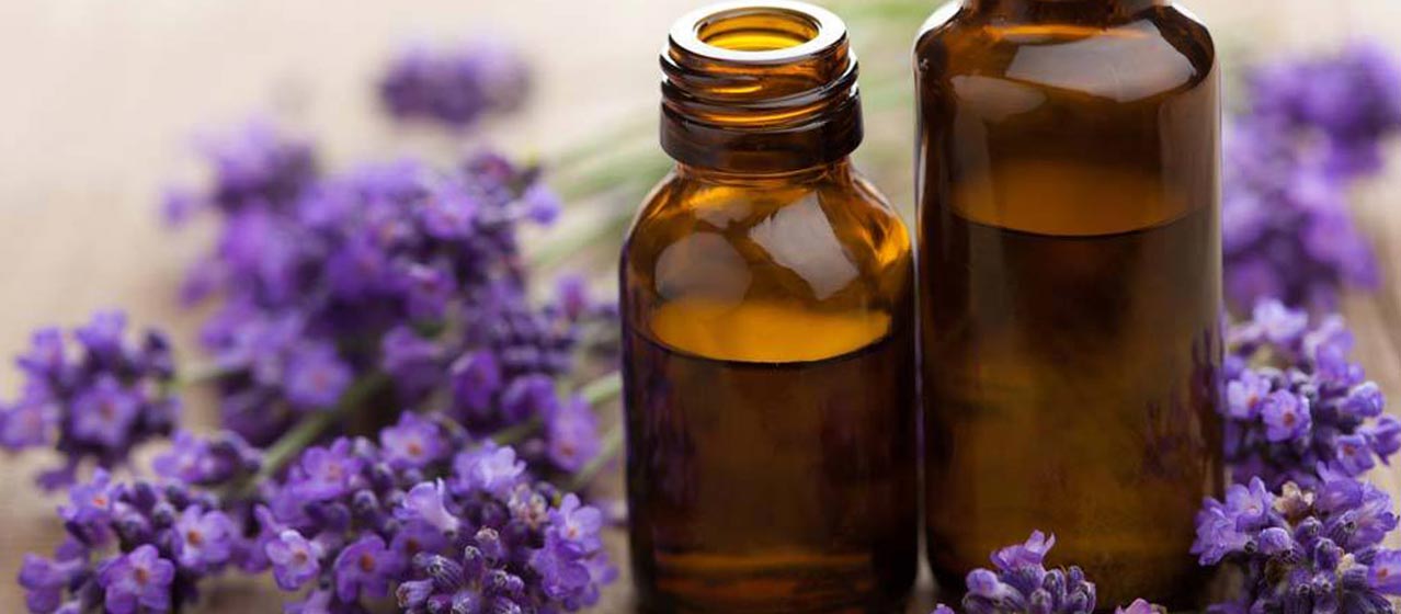 why you should use lavender essential oil