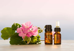 geranium essential oil