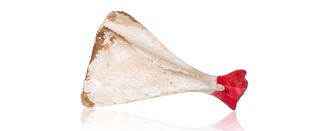 Primitive Bone Spearfishing Decoy