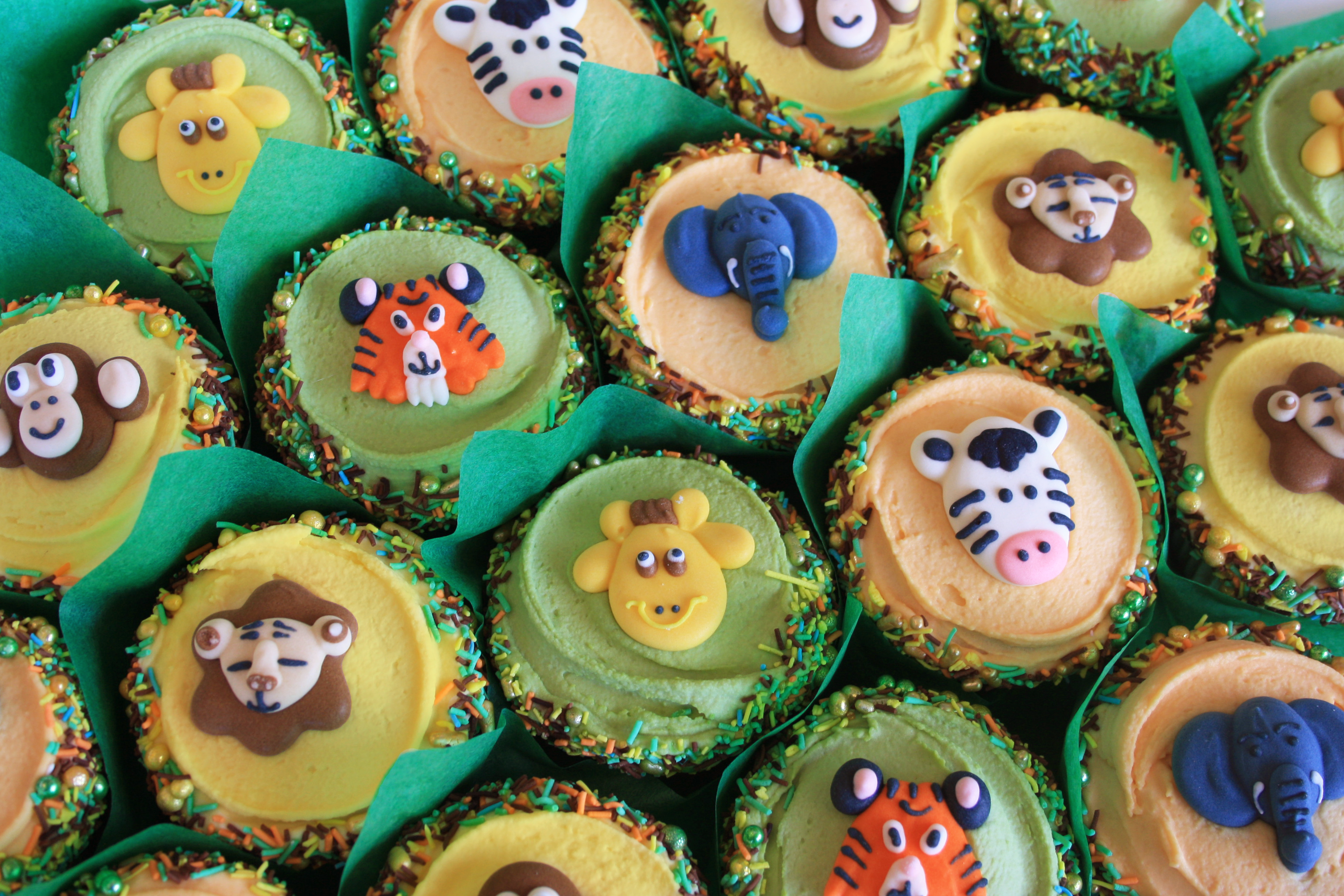 Safari Cupcakes – My Little Cupcake