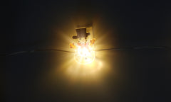 20 LED Christmas String Lights
