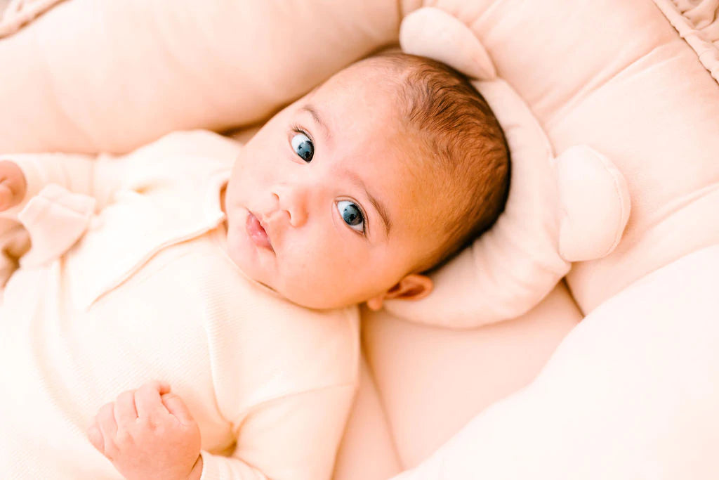 Baby Habers - Rudelsheim - Ergonomisch kussen Mokka