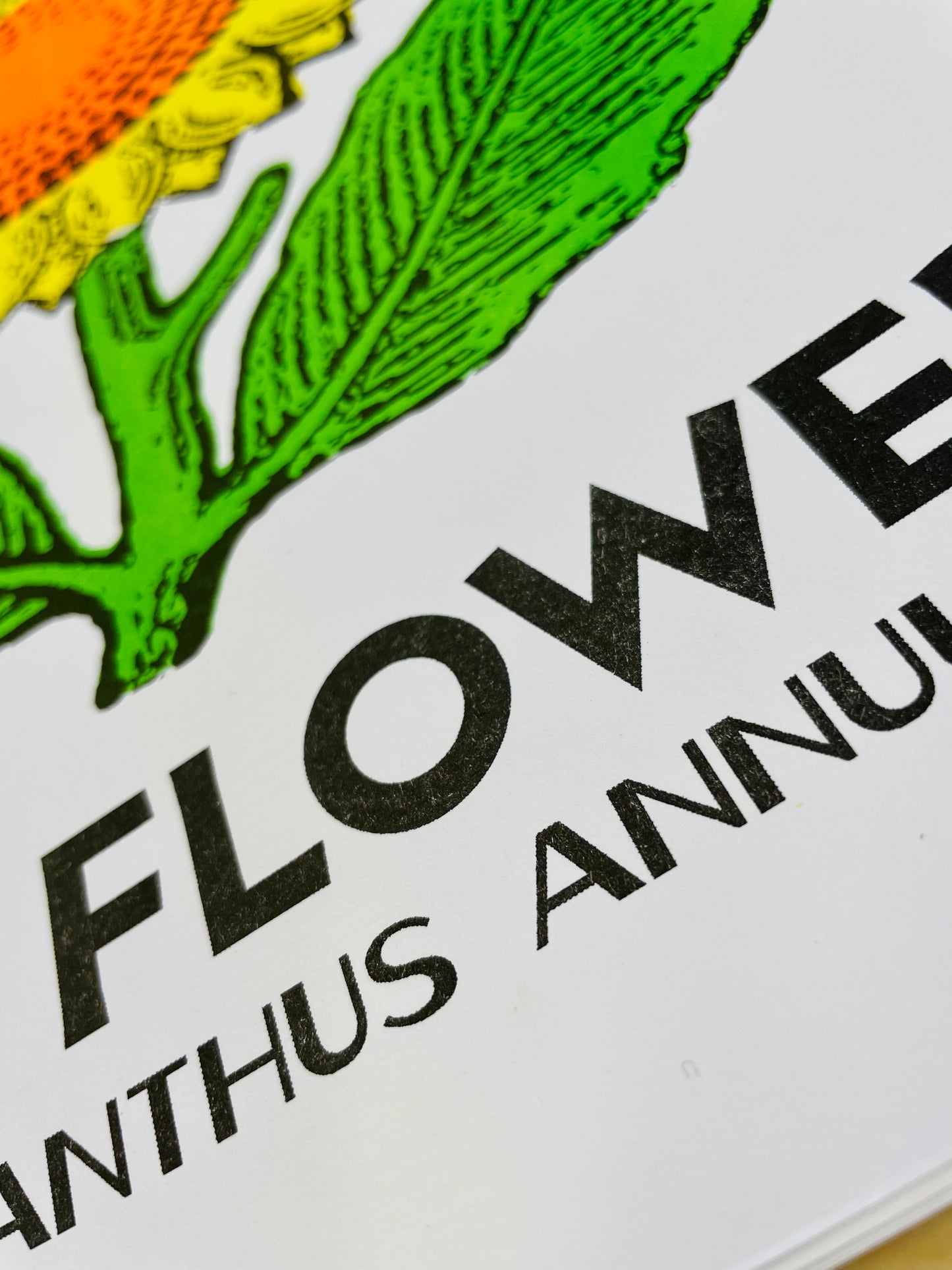 Sun Flower Botanical - A Ukraine Charity Print
