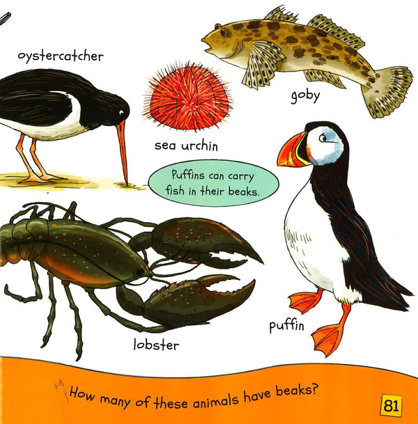 examples of insectivores