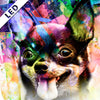 Led Bild Abstrakter Chihuahua Quadrat Motivvorschau