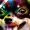 Led Bild Abstrakter Chihuahua Quadrat Zoom