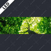 Led Bild Baum Im Wald Panorama Motivvorschau