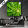 Led Bild Blatt Mit Wassertropfen Quadrat Produktvorschau