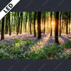 Led Bild Bluehender Wald Bei Sonnenaufgang Querformat Motivvorschau