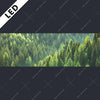 Led Bild Der Wald Panorama Motivvorschau