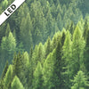 Led Bild Der Wald Panorama Zoom