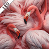 Led Bild Kuschelnde Flamingos Quadrat Motivvorschau