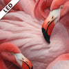 Led Bild Kuschelnde Flamingos Quadrat Zoom