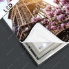 Led Bild Mangnolien In Paris Quadrat Ausschnitt