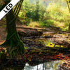 Led Bild Natuerlicher Wald Hochformat Zoom