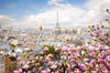 Led Bild Pariser Stadtdaecher Hochformat Crop