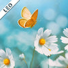Led Bild Sommerwiese Mit Schmetterlingen Hochformat Zoom
