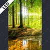 Led Bild Wald Mit Sonnenstrahlen Hochformat Motivvorschau