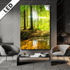 Led Bild Wald Mit Sonnenstrahlen Hochformat Produktvorschau