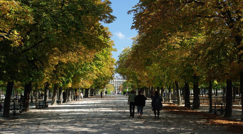 Jardin du Luxembourg