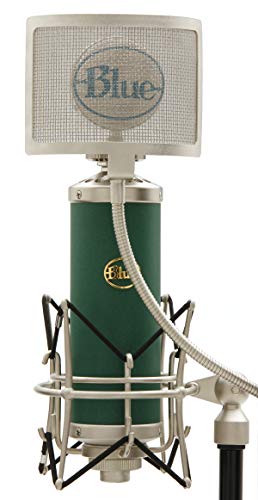 Blue Kiwi Microphone Kc