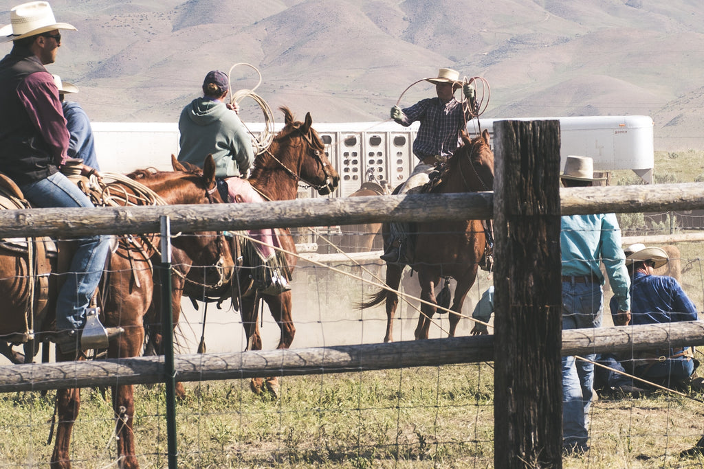 wranglers