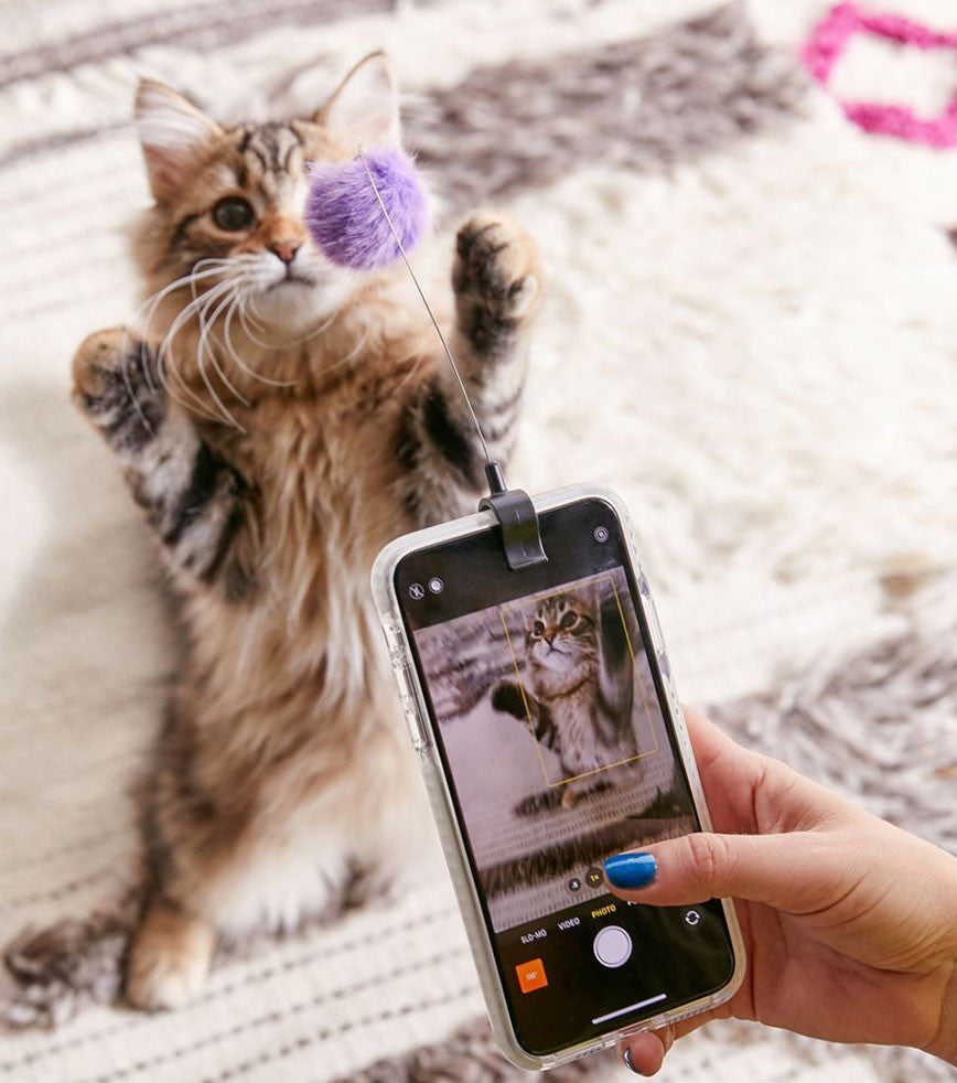 Clip pour selfie de chat pour vidéo originale