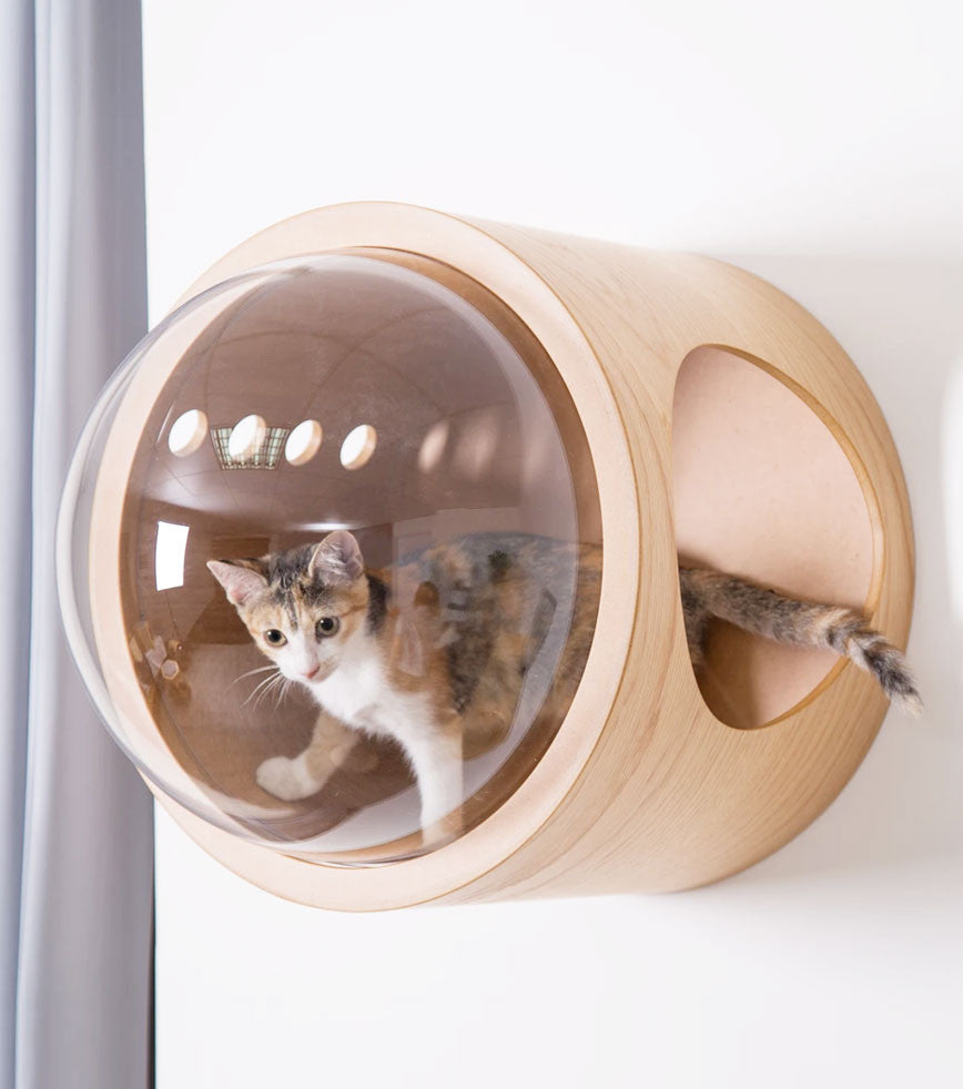 MYZOO - Niche vaisseau spatiale pour chat